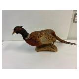 Pheasant