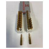 243 Cal.  36 Cartridges,  Reloads