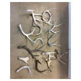 Deer Sheds assorted