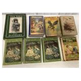Pinocchio, Tarzan, Bobbsey Twins + other books