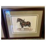 Budweiser Clydesdale Guy Coheleach Framed Print
