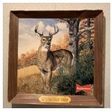 Budweiser White Tail Deer Advertising