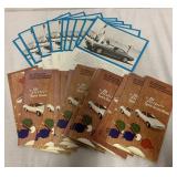 20+ Campro and Pinto Brochures