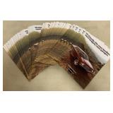 30+ 1972 Chevrolet Chevelle Brochures