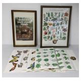 6 Smokey the Bear posters