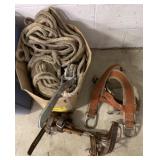 Tree Cutting Gear