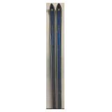 Schuss Edelweiss Europa skis