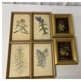 4 framed floral plates and two framed floral print