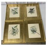 4 framed prints from Shelley