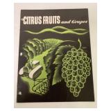 Citrus Fruits & Graped Caterpillar Brochure