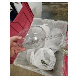 10 Glass Bowls & Tote