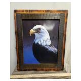 19.5 x 24 Eagle