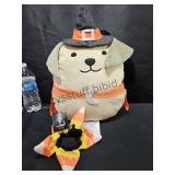 Halloween Pillow & Dog Collar