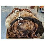 Old Furs Old Condition