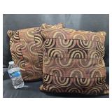 2 Throw Pillows