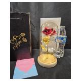 Beautiful Lighted Rose New