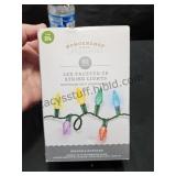 19 FT Light Strand Colored