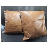 2 Decent Throw Pillows