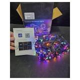 100 FT Smart Color Changing Christmas Lights