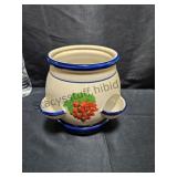 Strawberry Planter