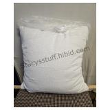 24 x 24 Pillow New