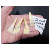 Buffalo Teeth Pendants