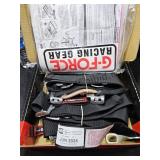 Racing Harness EXP 2024