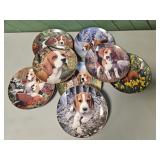 Beagle Collector Plates