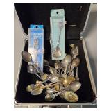 Collector Spoons & Case