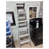 6 Foot Metal Ladder