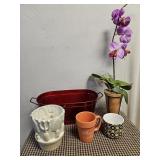 Plant Lady Mug & Misc Planters