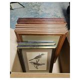 VTG Framed Bird Prints