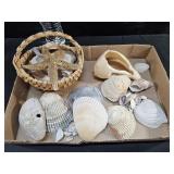 Seashells