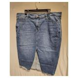 Torrid Denim Skirt SZ 20