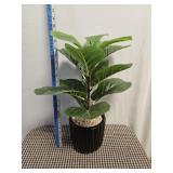 Fake Plant