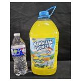 Gallon Jug Pineapple Plunge