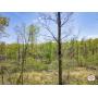 244 +/- Acres