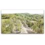 18.49 Ac Wayne Watt Rd & Girkin Boiling Springs Rd