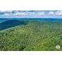 135+/- Acres