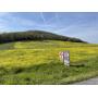 Tract 1 - 7.78 Acres