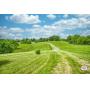 Tract 1 - 8.36+- acres