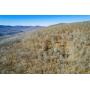 249.59 +/- Acres with Timber