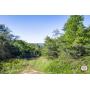 437+/- Acres