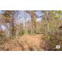 Tract 1 - 171+/- Acres