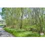 40+/- Acres