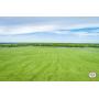 213+/- Acres, Home & Lot, Personal Property  - Potato Farm R