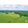 Tract 1 - 7.43+/- Acres