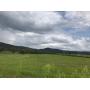 76+/- ACRE FARM IMPROVED W/OLDER HOME