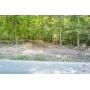 Tract 1 - Lettered Oak Rd., 21.78+/- Acres