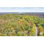 2.64+/- Wooded Acres
